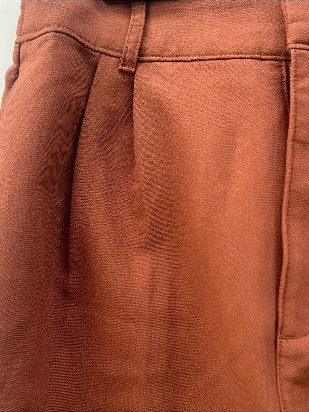 Abercrombie & Fitch Sloane Wide Leg Pants Rust Terracotta Pleated High Rise M - Picture 2 of 5
